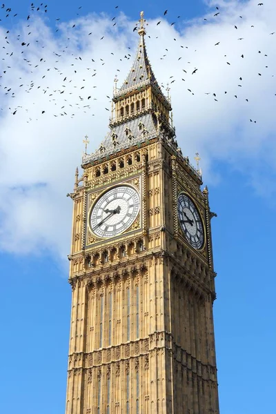 Big Ben, Londres con pájaros negros — Foto de Stock