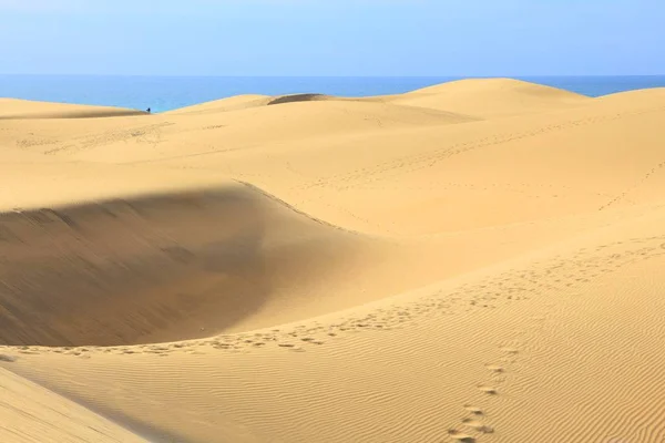 Gran Canaria wydmy — Zdjęcie stockowe