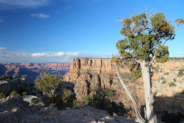 Moran punkt, Grand Canyon — Zdjęcie stockowe