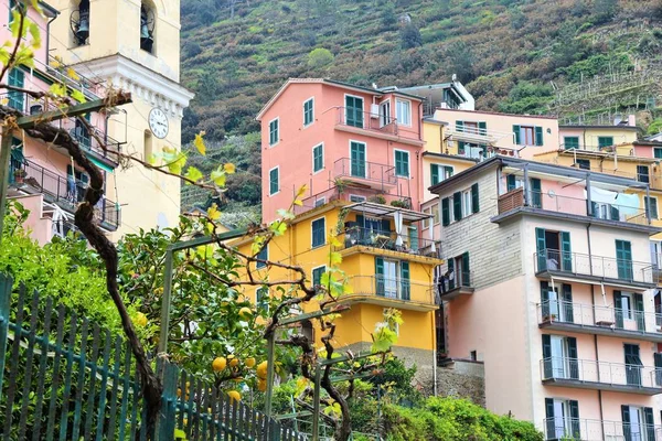 Cinque Terre, Italie — Photo