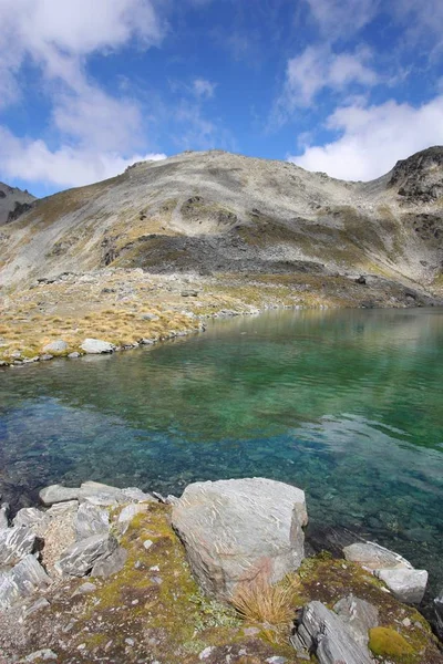 Nieuw-Zeeland-natuur — Stockfoto