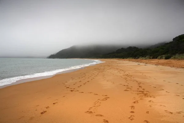 Mistige strand, Nieuw-Zeeland — Stockfoto