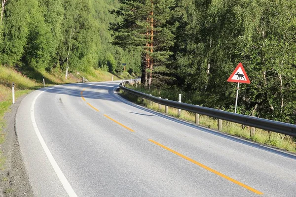 Norvég jávorszarvas jele — Stock Fotó