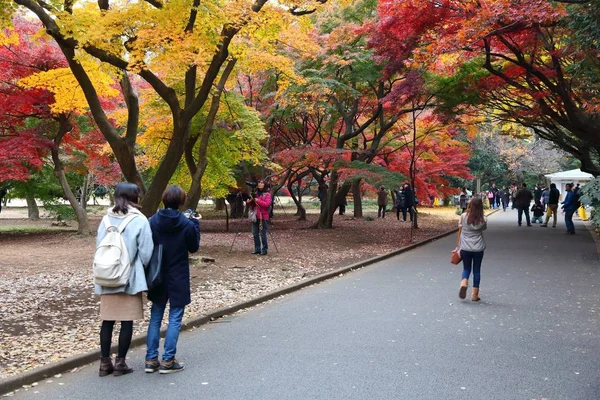 Shinjuku Gyoen em Japão — Fotografia de Stock