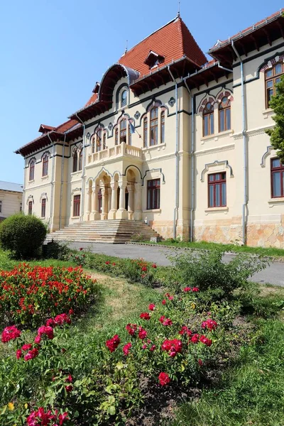 Biblioteka w Rumunii — Zdjęcie stockowe