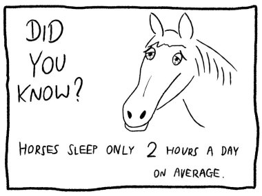 Sleepy horse - random trivia fact clipart