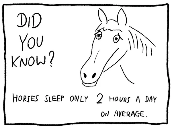 Sömnig häst - random trivia faktum — Stock vektor