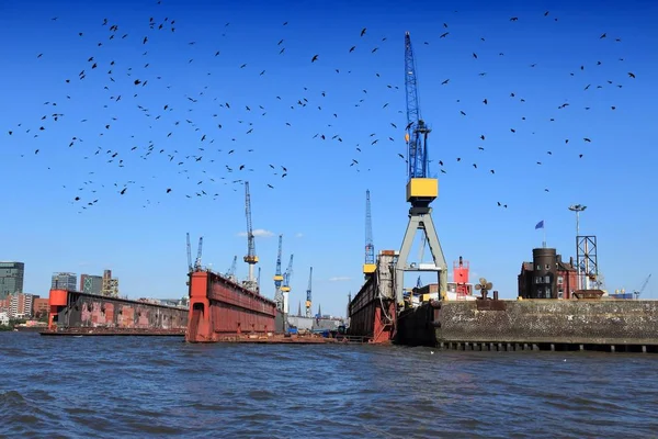 Hamburg Limanı, Almanya — Stok fotoğraf