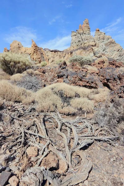 Paysage de Tenerife en Espagne — Photo