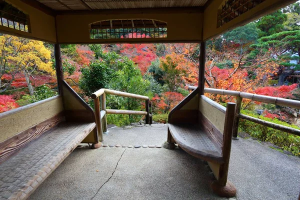 秋の日本庭園 — ストック写真