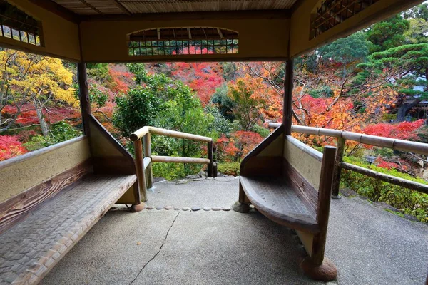 Autumn Japan garden