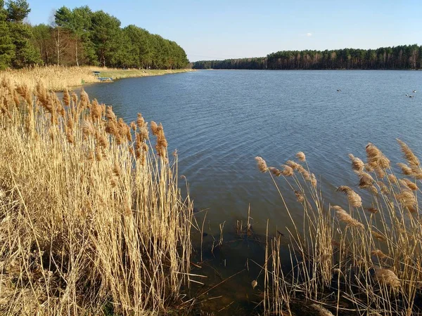 Reservoir in Poland — Stock Photo, Image