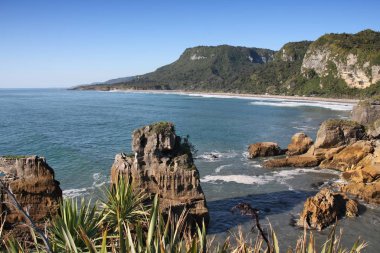 Yeni Zelanda kıyılarında