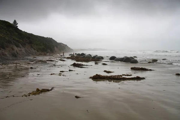 Nový Zéland déšť — Stock fotografie