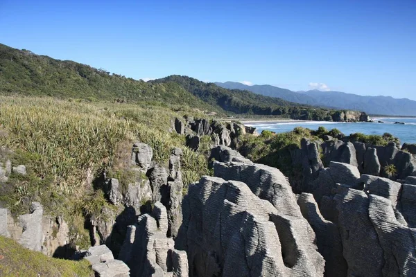 ニュージーランドのパンケーキ岩 — ストック写真