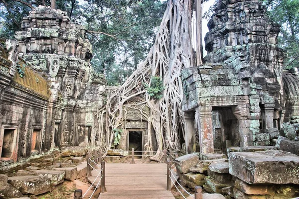 Djungel tempel i Kambodja — Stockfoto