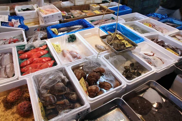 Mercato del pesce Tsukiji — Foto Stock