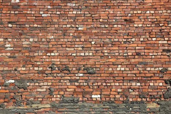 Alte Ziegelmauer — Stockfoto