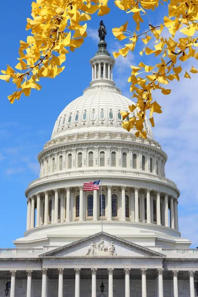 Washington DC outono — Fotografia de Stock