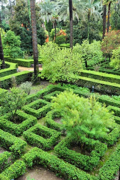 Alcazar Gardens, Sevilla — Stock Fotó