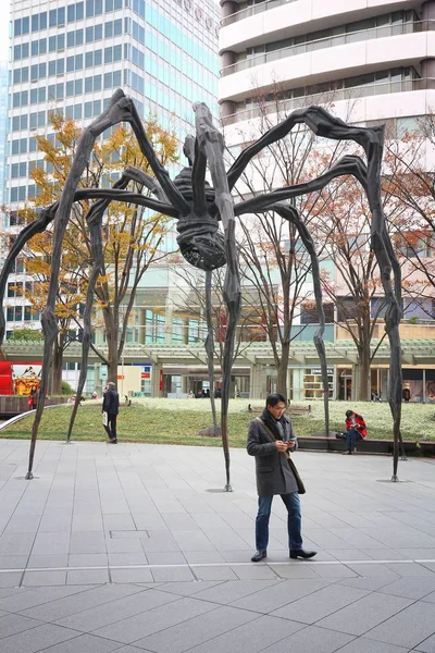 Pavouk v Japonsku v Tokiu — Stock fotografie