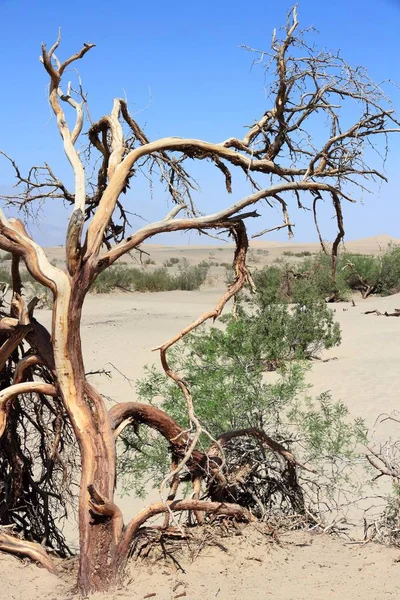 Death Valley, Estados Unidos — Foto de Stock