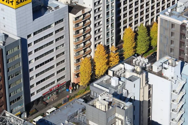 Tokyo autumn in Japan — Stock Photo, Image