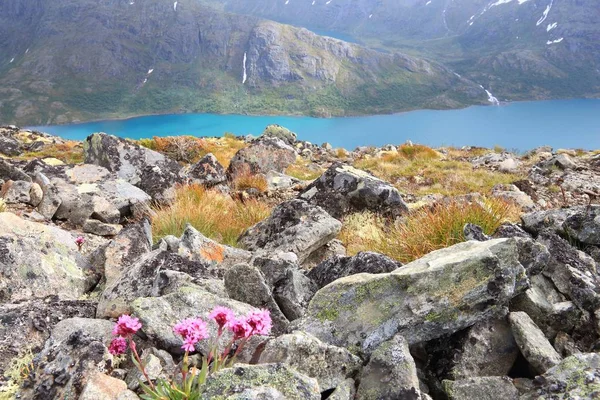 Noruega natureza em Jotunheimen — Fotografia de Stock