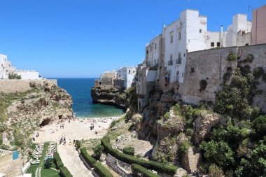 Polignano kısrak