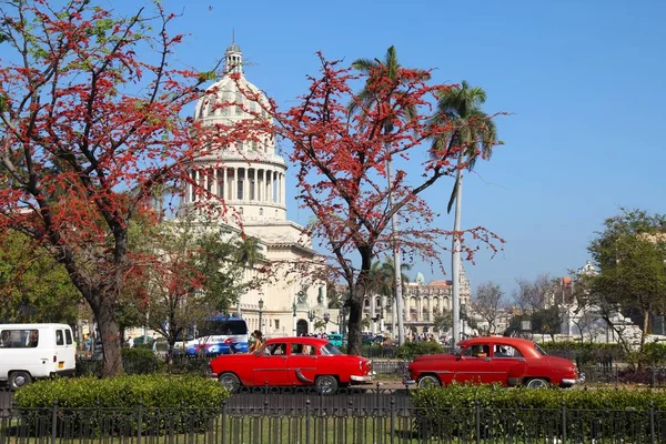 Voitures à Cuba en La Havane — Photo