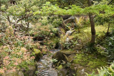 Nara, Japonya - seyahat hedef