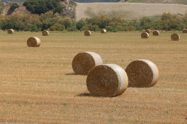 Italy countryside in Basilicata — Stock Photo, Image