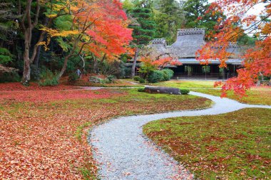 Japonya sonbahar renkleri