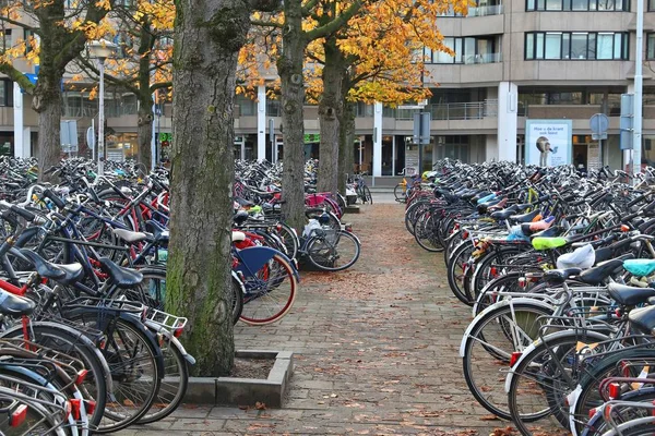 Eindhoven cykelparkering — Stockfoto