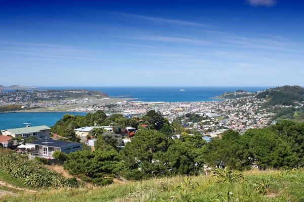 Wellington, Neuseeland — Stockfoto