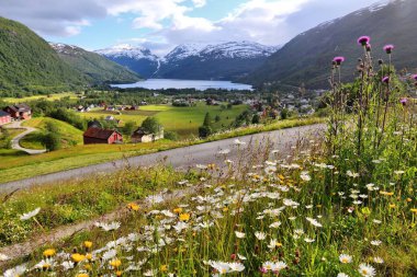 Norveç kırsal - doğal yer