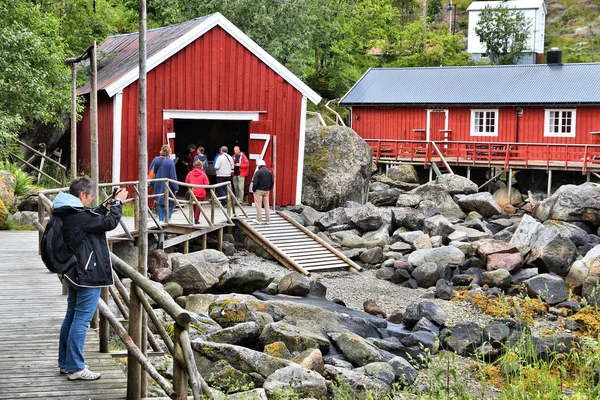 Nusfjord sightseeing, Norge — Stockfoto