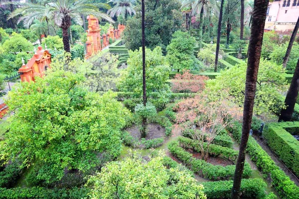 Alcazar Gardens, Sevilla — Stock Photo, Image