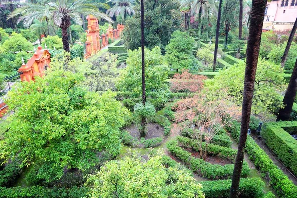 Alcazar-Gärten in Sevilla — Stockfoto