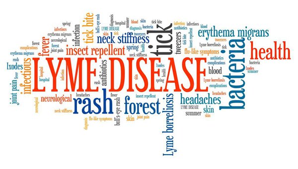 Lyme disease - word cloud