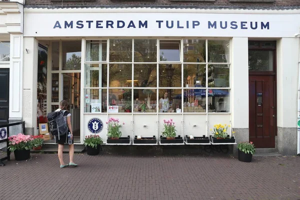 Amsterdam tulip museum — Stockfoto