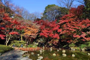 Sonbahar Tokyo - Japonya