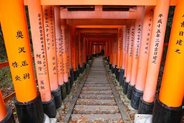 Japan torii tunnel — Stock Photo, Image