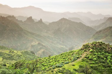 gran canaria dağlarda