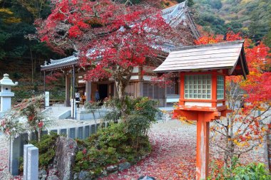 Minoo sonbahar, Osaka