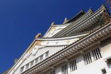 Osaka Kalesi - Japonya