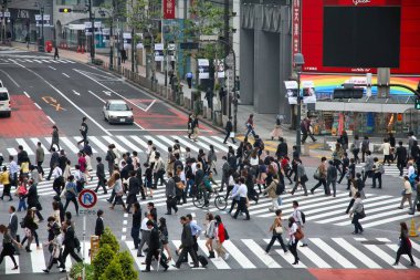 Tokyo kalabalık, Japonya