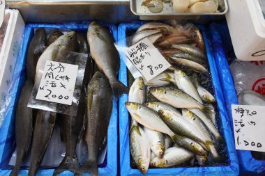 tsukiji balık pazarı