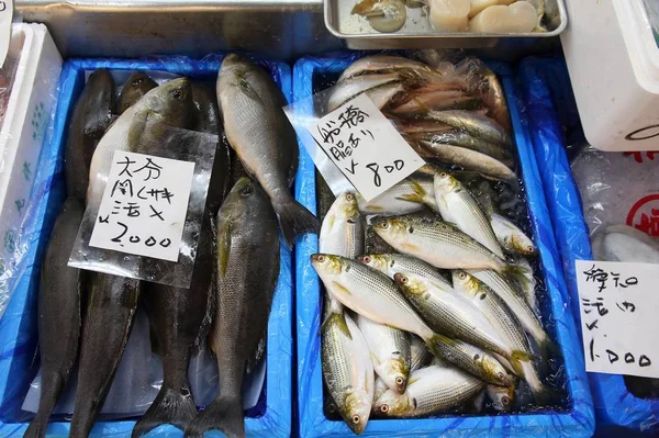 Mercado de pescado Tsukiji — Foto de Stock