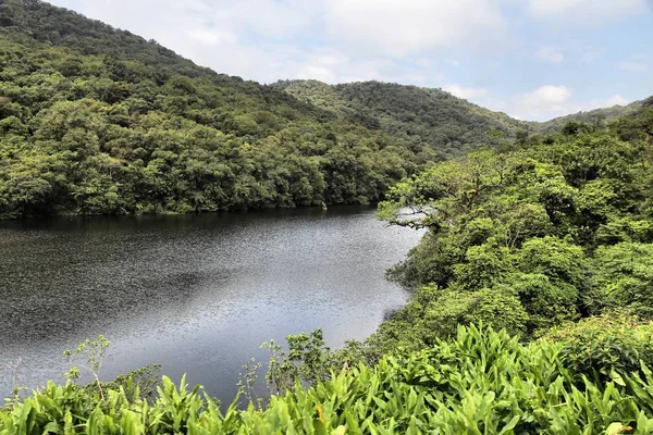 Brésil paysage de forêt tropicale — Photo